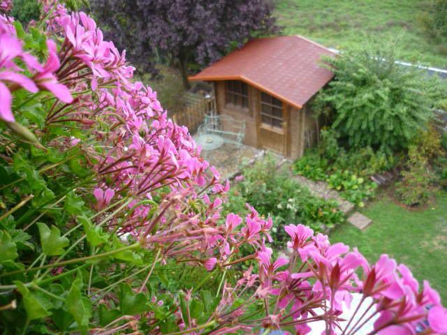 Kirn Gastehaus Rosengarten Im Nahetal חדר תמונה